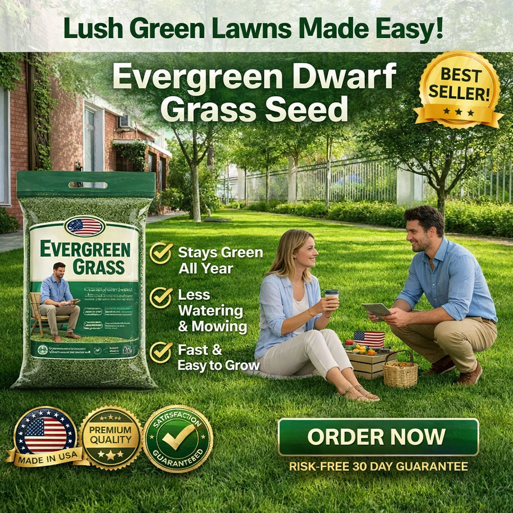 /6a264cd3798178000a13b501/2026/06/08/product-img-6a265cfc91ef3d0d28f93523.png